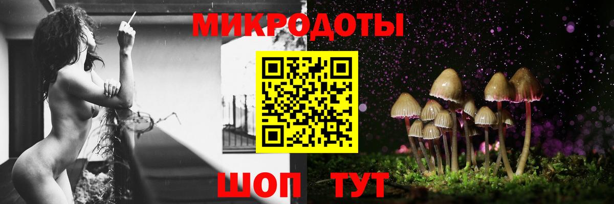 Губкин  Галлюциногенные грибы мухоморы  Галлюциногенные грибы Magic Shrooms  Вход с VPN 
